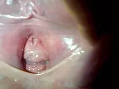 Âm hộ tải phim heo Pearlescent