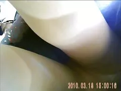 Chị em kéo clip sex con heo 2